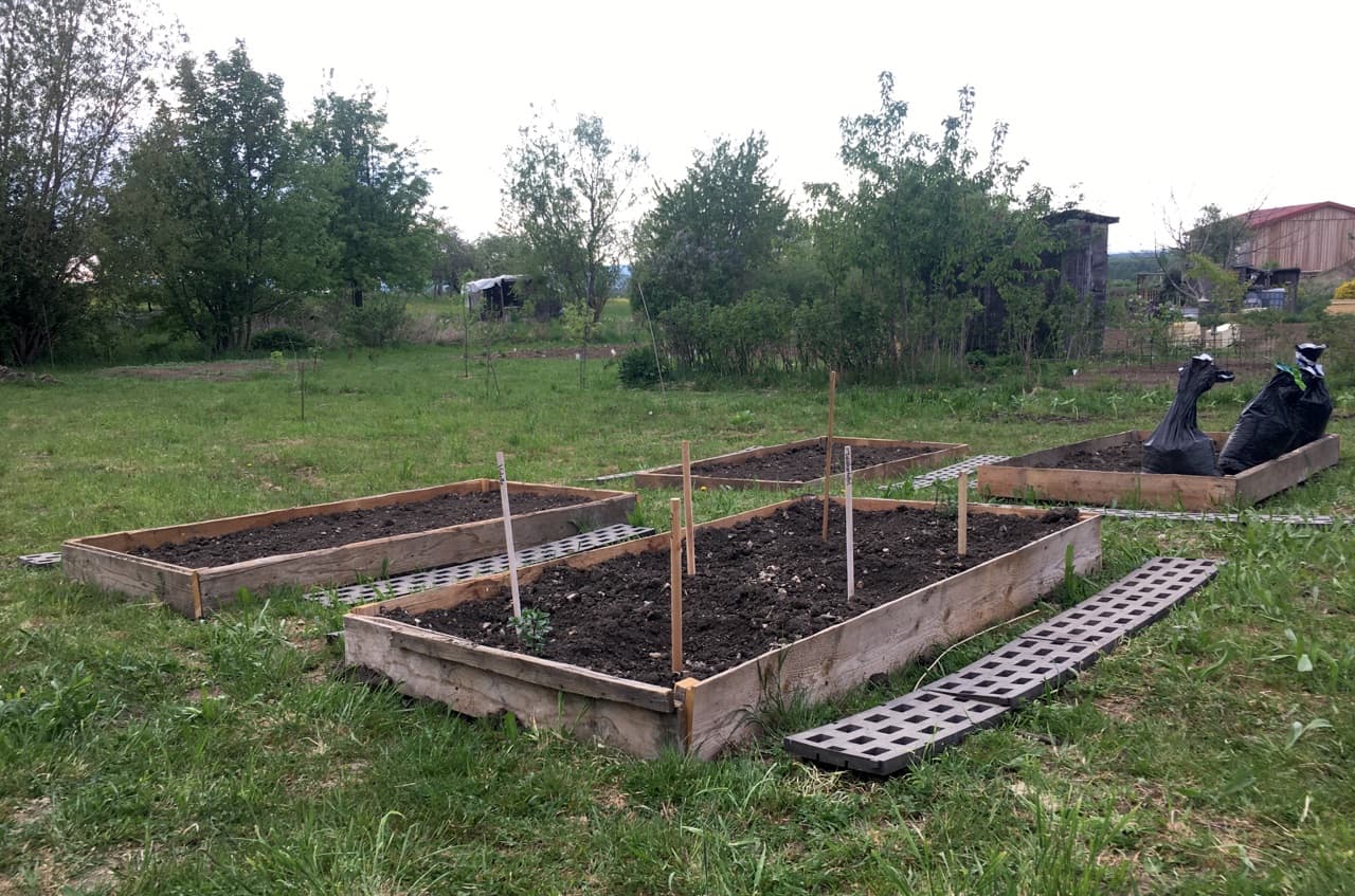 Erste Pflanzen in den Beeten (Foto: privat)