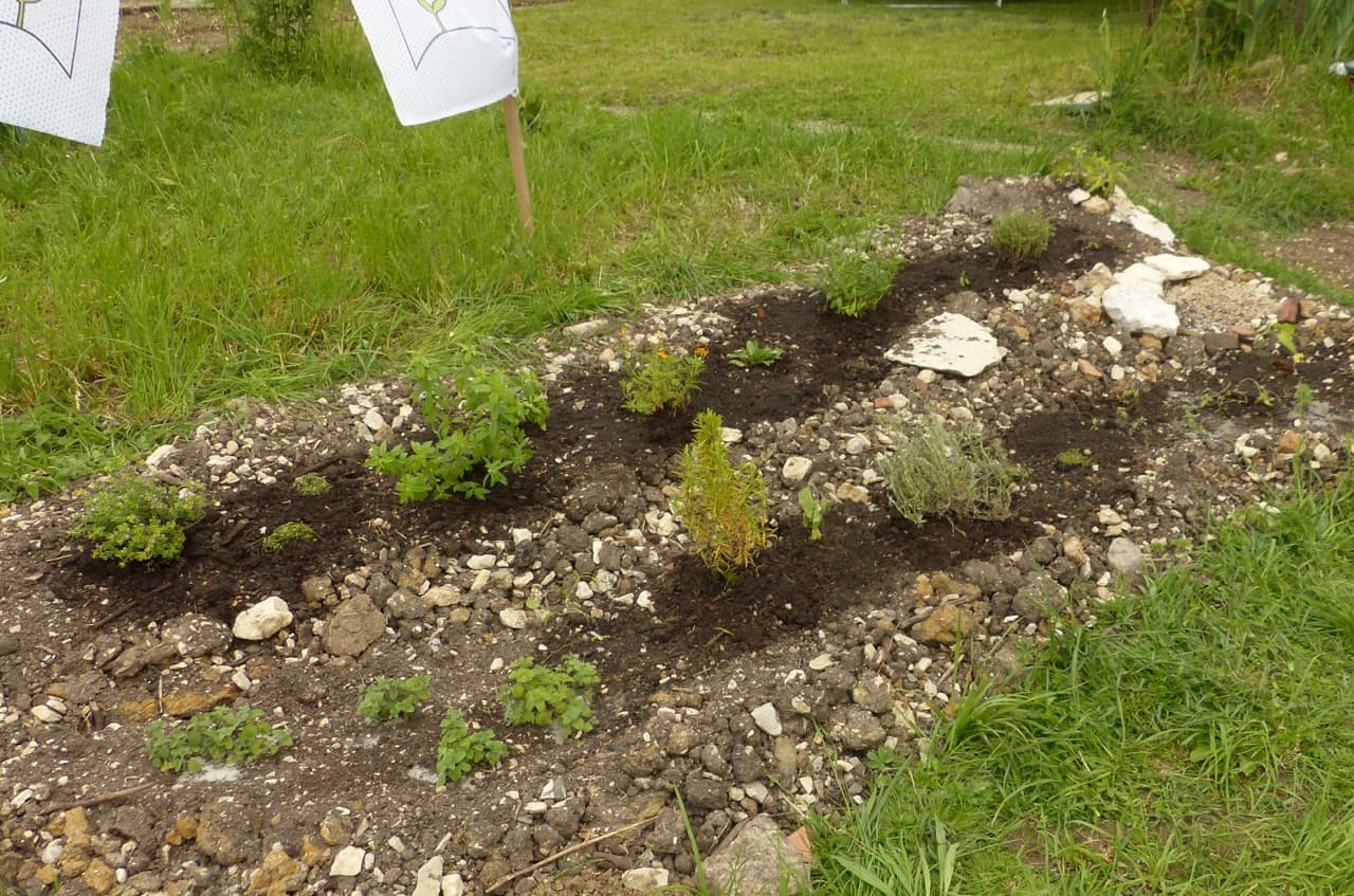 Frisch bepflanzes Kräuterbeet im Gemeinschaftsgärtle (Foto: privat)