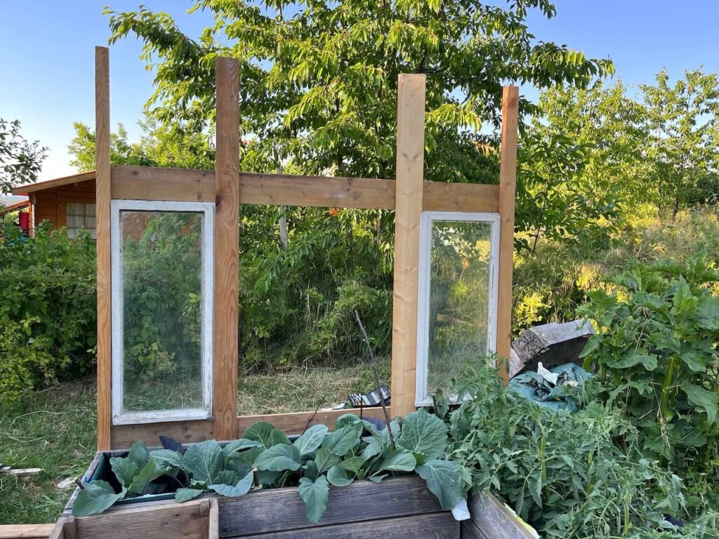 Tomatenhaus Rückwand