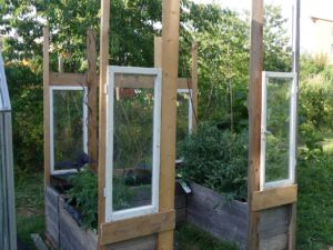 Bau eines Tomatenhauses (Foto: privat)