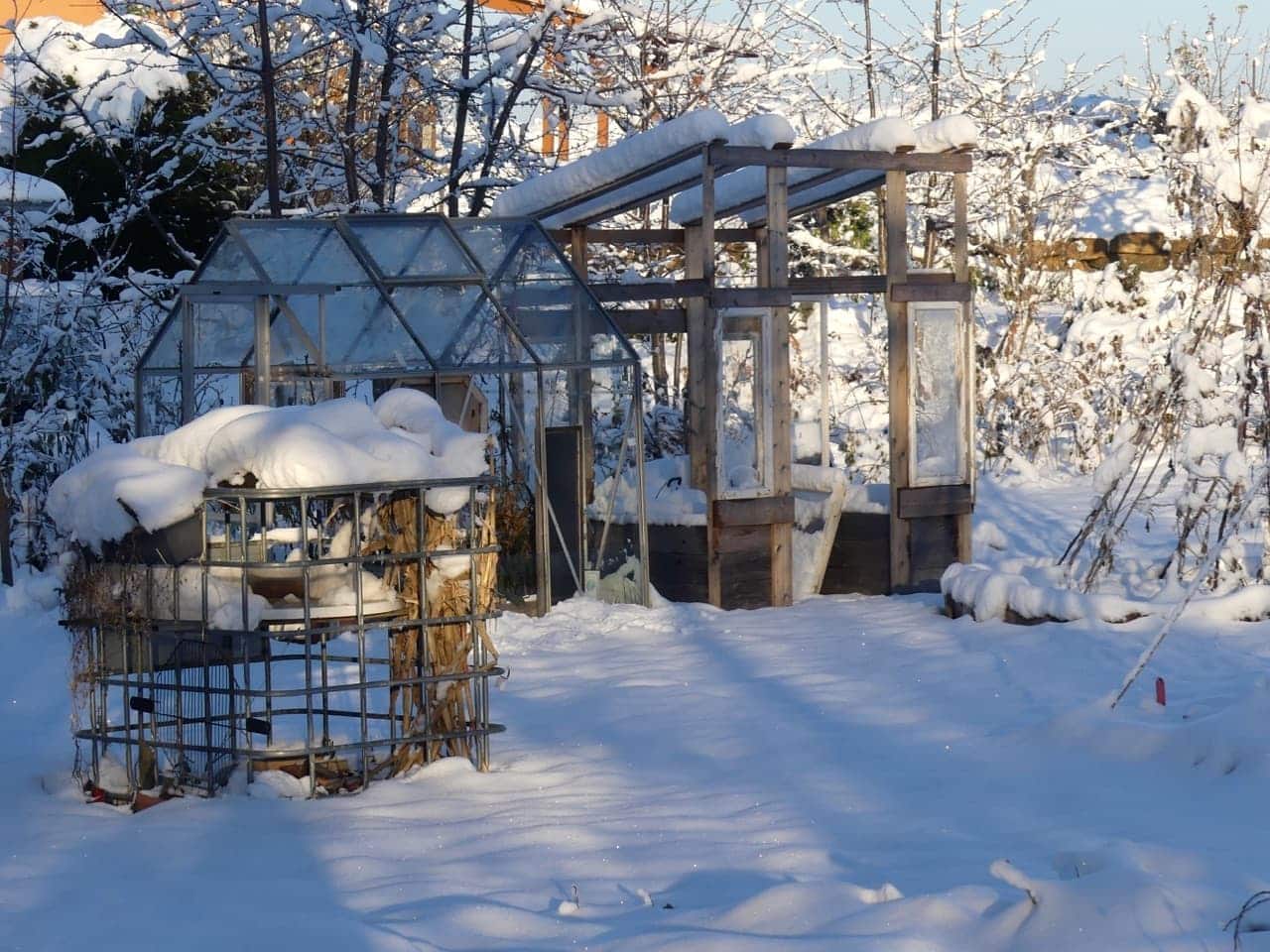 Winter im Gemeinschaftsgärtle (Foto: privat)