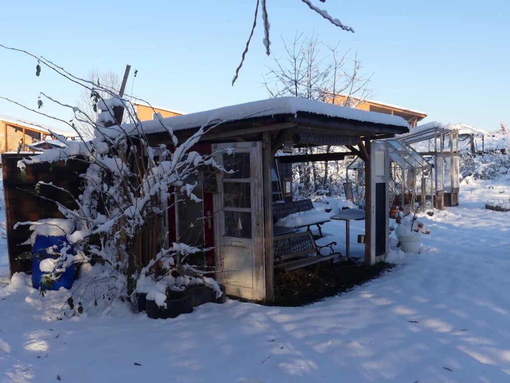 Winter im Gemeinschaftsgärtle (Foto: privat)