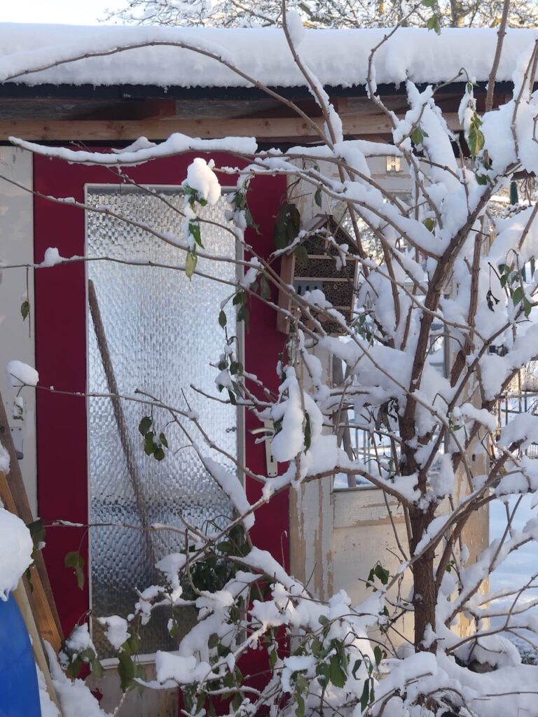 Winter im Gemeinschaftsgärtle (Foto: privat)