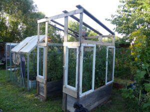 Tomatenhaus im September 2023 (Foto: privat)