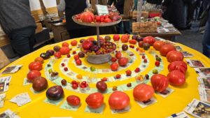 Ausgereifte Präsentation von Tomatensorten eines Saatguthändlers (Foto: privat)