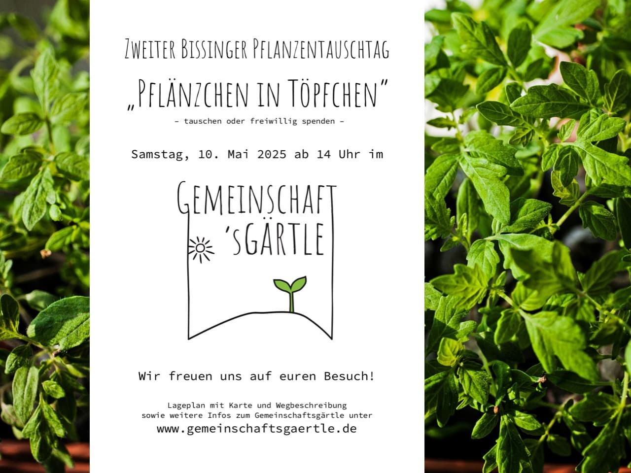 „Pflänzchen in Töpfchen" – Einladung zum zweiten Pflanzentauschtag