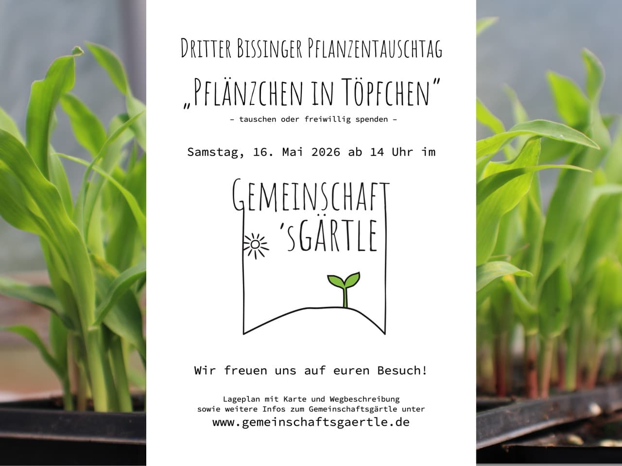 „Pflänzchen in Töpfchen" – Einladung zum dritten Pflanzentauschtag